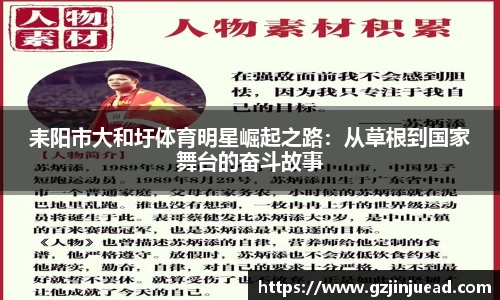 耒阳市大和圩体育明星崛起之路：从草根到国家舞台的奋斗故事