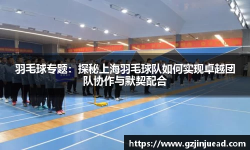 羽毛球专题：探秘上海羽毛球队如何实现卓越团队协作与默契配合