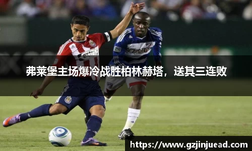 bsports登录入口