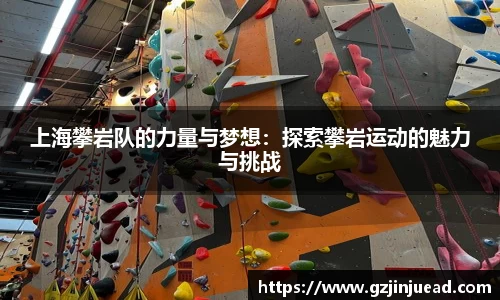 bsports官网入口