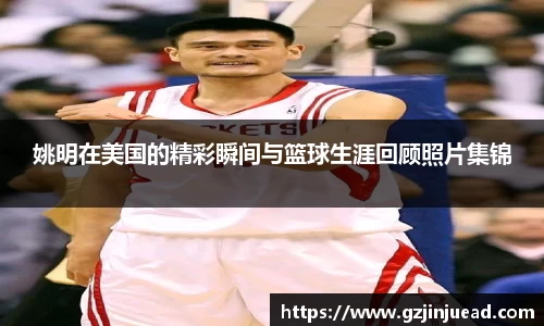 bsports登录入口