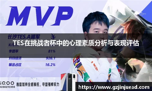 TES在挑战者杯中的心理素质分析与表现评估