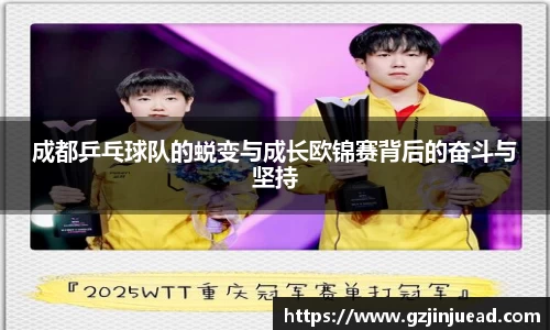 成都乒乓球队的蜕变与成长欧锦赛背后的奋斗与坚持