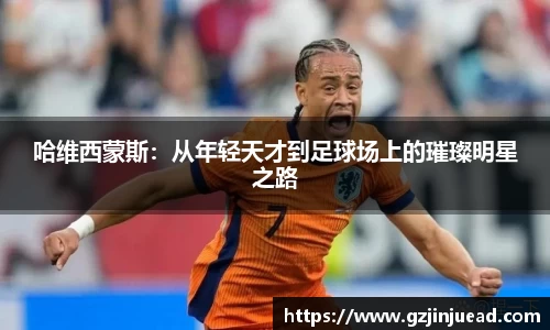 bsports登录入口