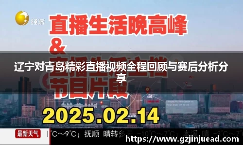 辽宁对青岛精彩直播视频全程回顾与赛后分析分享