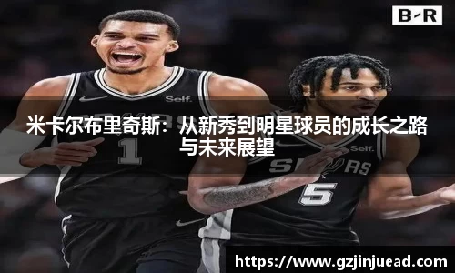 bsports官网入口