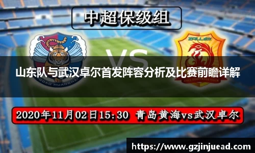 bsports登录入口
