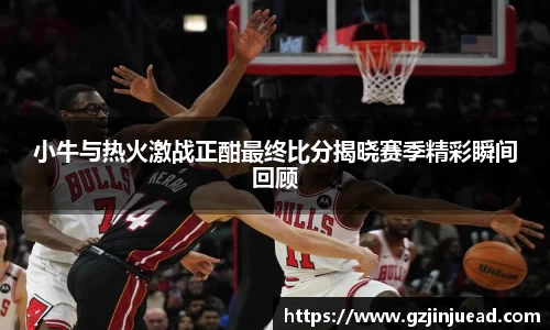 bsports官网入口